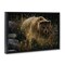 Stupell Industries Crossing Paths Grizzly Bear Floating Frame, design by Collin Bogle